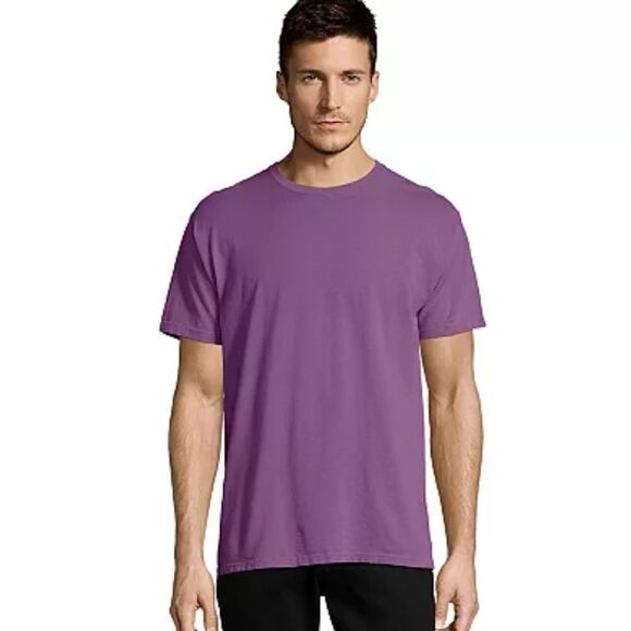 NWOT Men's Hanes® ComfortWash Garment-Dyed Tee 2XL - Picture 1 of 4